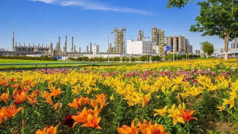 广州化工原料批发市场价格波动解析**