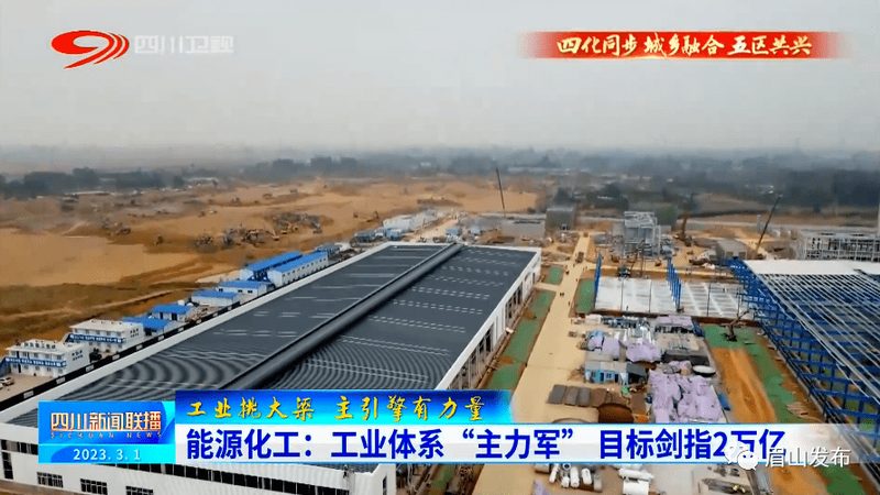 食品添加剂与工业添加剂：品牌排名背后的考量因素